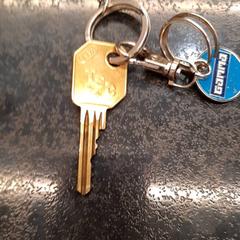 Llave, ha sido reportado por Rotterdam The Hague Airport con iLost