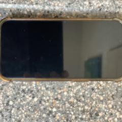 Iphone, gerapporteerd met iLost
