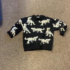 Svetr Dino, jak nahlášeno Burgers' Zoo pomocí iLost