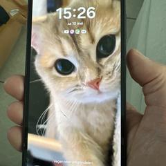 Telefoon, come riportato a iLost