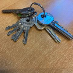 Chaves, segundo informou Politiezone Rivierenland usando iLost