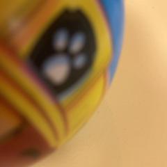 Bal paw patrol, zoals gemeld door De Tovertuin met iLost