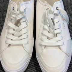 Shoe, as reported by Inntel Hotels Amsterdam Landmark using iLost