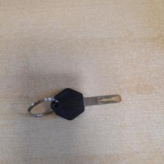 Fietssleutel، كما تم الإبلاغ عنه بواسطة Dolfinarium عبر iLost