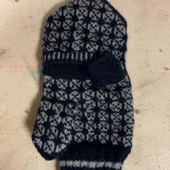 Handschuh, gemeldet von Artis über iLost