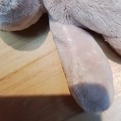 Peluche, come riportato da Beekse Bergen Resorts en Hotel utilizzando iLost
