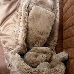 Jaqueta, segons ha informat Arriva West-Brabant mitjançant iLost