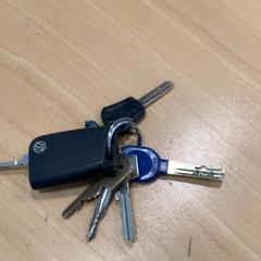 Schlüsselanhänger, gemeldet von Gemeente Gooise Meren über iLost