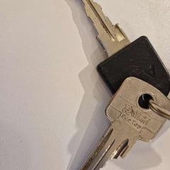 Nøkkelring, som rapportert av Gemeente Noordwijk ved bruk av iLost