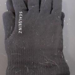 Rukavice, jak nahlášeno Qbuzz servicepunt  Emmen pomocí iLost