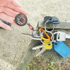 Sleutelbos in Ankerpark Leiden, as reported to iLost