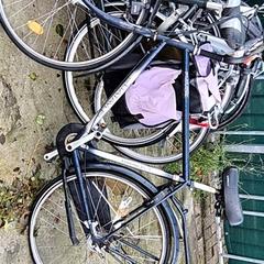 Pánské kolo Batavus, jak nahlášeno Stadswerk072 pomocí iLost