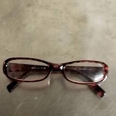 Bril, ako bolo nahlásené Pathé Scheveningen pomocou iLost