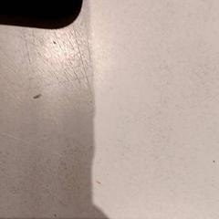 Telefon, som rapportert av De Efteling ved bruk av iLost