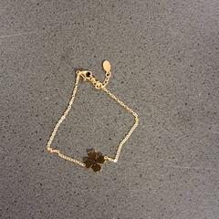 Polsera, segons ha informat Breng Nijmegen mitjançant iLost