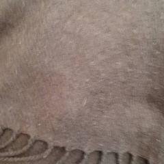 İLost kullanarak Rotterdam The Hague Airport tarafından bildirildiği gibi Şal