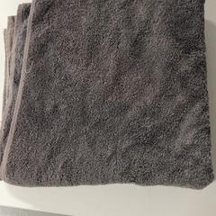 منشفة الشاطئ، كما تم الإبلاغ عنه بواسطة Silver Sands Beach عبر iLost