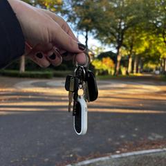Sleutelbos, jak bylo nahlášeno na iLost