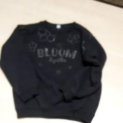 Sweater, as reported by Arriva Oost-Brabant using iLost