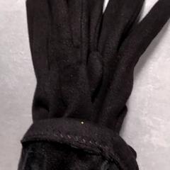 Luvas Zwart, como reportado por Arriva Friesland / Groningen utilizando o iLost