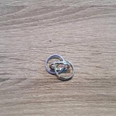 Ringe, som rapportert av EBS Tramplein ved bruk av iLost