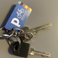 Keys, as reported to iLost