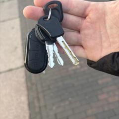 sleutelbos, som rapporterats till iLost