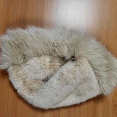 Beanie Wit, as reported by Connexxion Noord Holland Noord Alkmaar using iLost