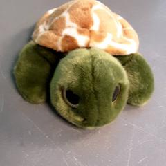 Peluche, a été signalé par Diergaarde Blijdorp utilisant iLost