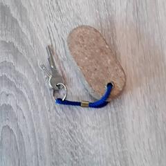 Sleutels, gemeldet von EBS Tramplein über iLost