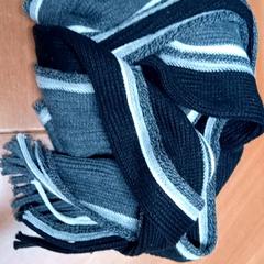 Sjaal, a été signalé par Regio Limburg - Leuven utilisant iLost