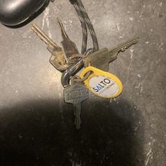 Sleutelbos, iLost-i jakinarazi zaion moduan