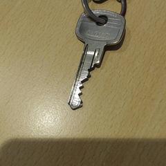 Schlüsselanhänger metaal, gemeldet von Walibi Holland über iLost