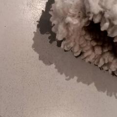 Jas, zoals gemeld door De Efteling met iLost