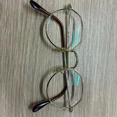 Lunettes Goud, dun montuur, a été signalé par Gemeente Westland utilisant iLost