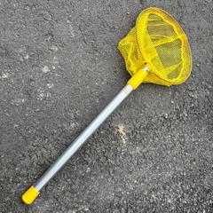 Visnet, amint azt Gemeente Rotselaar az iLost segítségével jelentette.