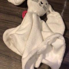 كنوفل Met roze speen، كما تم الإبلاغ عنه بواسطة Van der Valk Hotel Zwolle عبر iLost