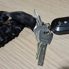 キーホルダー がiLostで Gemeente Westervoort によって報告されました