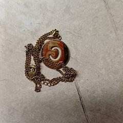 Collaret Goudkleurig, segons ha informat Qbuzz GD Groningen Peizerweg mitjançant iLost