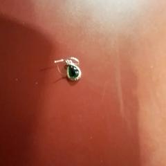 Kolczyk Groen, zgłoszono przez Apenheul przy użyciu iLost