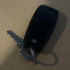 المفاتيح (متنوعة) Auto، كما تم الإبلاغ عنه بواسطة Jaarbeurs عبر iLost