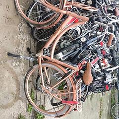 Dámské kolo batavus, jak nahlášeno Stadswerk072 pomocí iLost