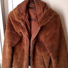Chaqueta bruin, segundo informou Qbuzz DMG usando iLost