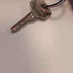 Clau, segons ha informat U-OV Amersfoort mitjançant iLost