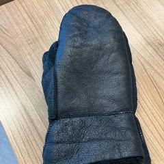 Rękawiczki handscoenen, zgłoszono przez ACTA przy użyciu iLost