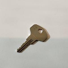 Clé, a été signalé par Centraal magazijn utilisant iLost