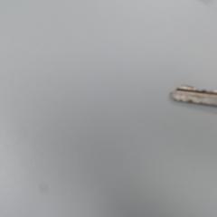 İLost kullanarak Walibi Holland tarafından bildirildiği gibi Sleutelbos