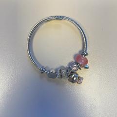 Bracelet, a été signalé par Bobbejaanland utilisant iLost