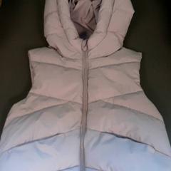 바디 워머, iLost를 사용하여 Diergaarde Blijdorp에 보고됨