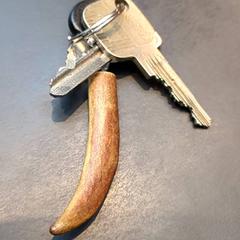 Sleutelbos, zoals gemeld door Universiteit Gent - Faculteitsbibliotheek LW met iLost